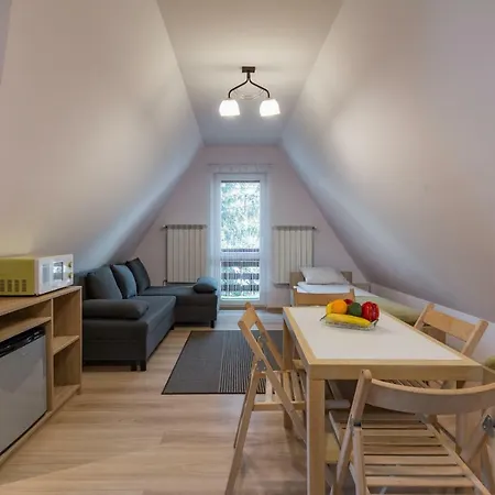 Casa de hóspedes Pod Antałówką 3*